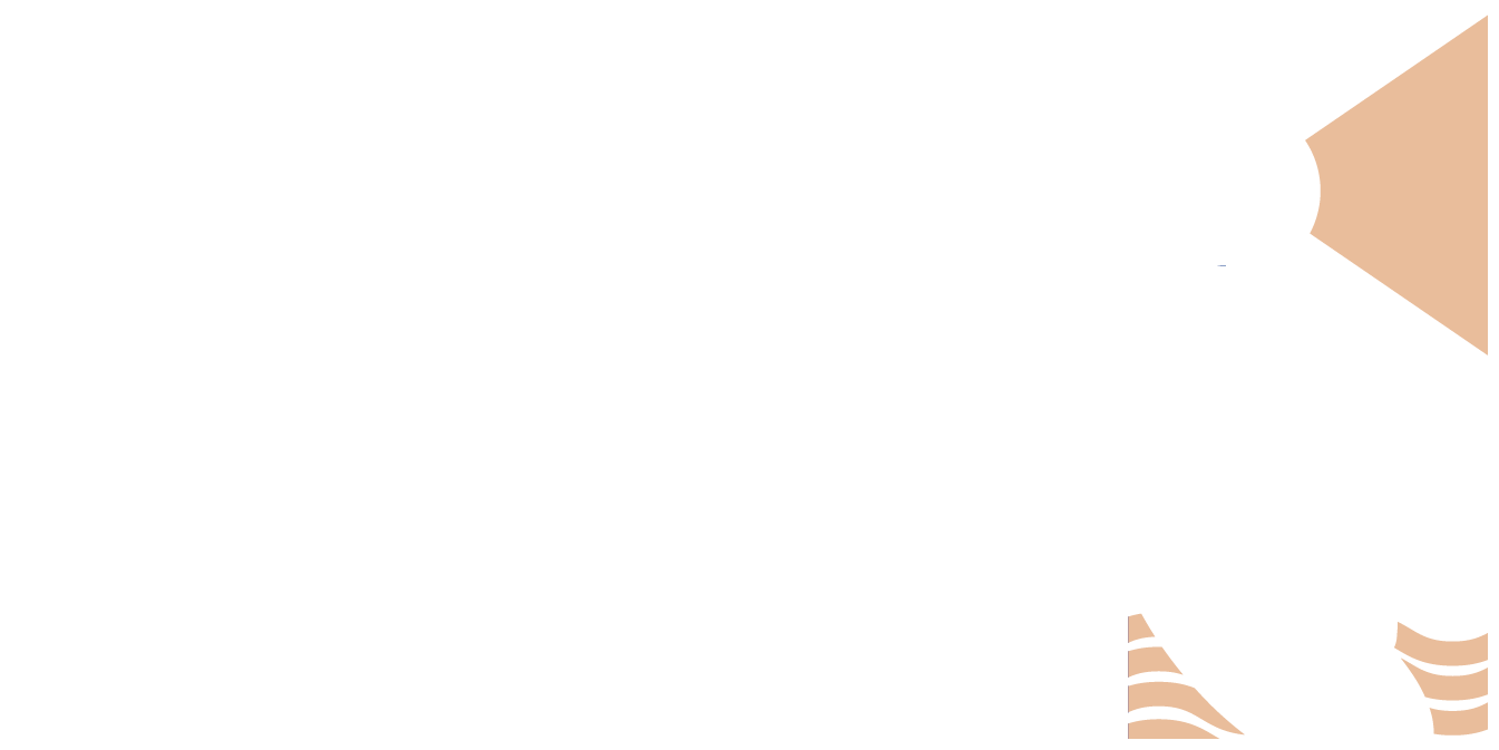 Monsieur Bassin
